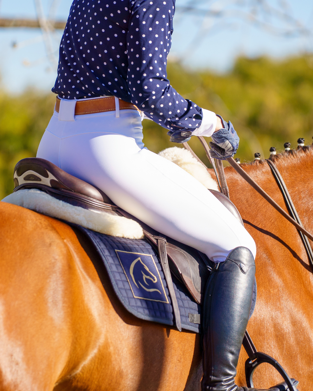 Athena Breeches