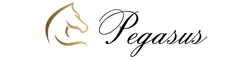 Pegasus Equestrian Company